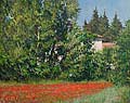 House and Poppy field, Bonnieux