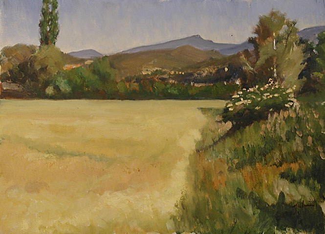  painting of  'A field of barley, Malucene'