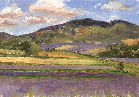 painting of  'Lavender Fields in Provence'
